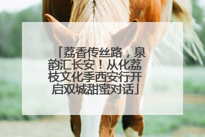 荔香传丝路，泉韵汇长安！从化荔枝文化季西安行开启双城甜蜜对话