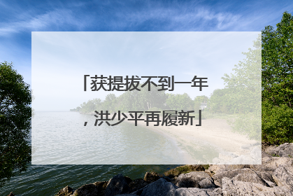 获提拔不到一年，洪少平再履新