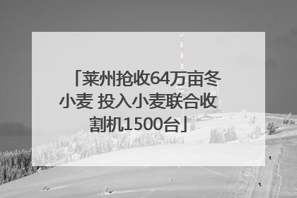 莱州抢收64万亩冬小麦 投入小麦联合收割机1500台
