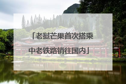 老挝芒果首次搭乘中老铁路销往国内