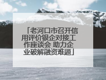 老河口市召开信用评价银企对接工作座谈会 助力企业破解融资难题