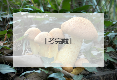 考完啦