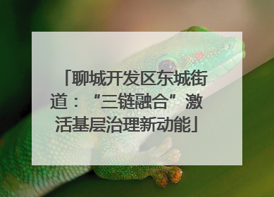 聊城开发区东城街道：“三链融合”激活基层治理新动能