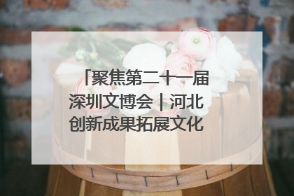 聚焦第二十一届深圳文博会｜河北创新成果拓展文化产业“朋友圈”