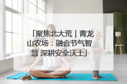 聚焦北大荒｜青龙山农场：融合节气智慧 深耕安全沃土