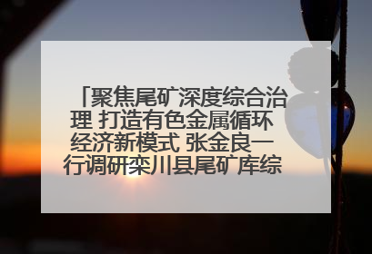 聚焦尾矿深度综合治理 打造有色金属循环经济新模式 张金良一行调研栾川县尾矿库综合治理工作