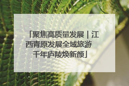 聚焦高质量发展｜江西青原发展全域旅游 千年庐陵焕新颜