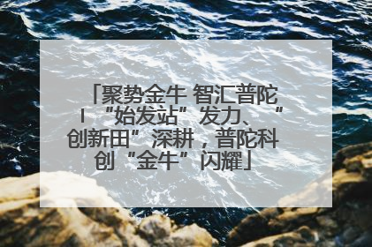 聚势金牛 智汇普陀〡“始发站”发力、“创新田”深耕，普陀科创“金牛”闪耀