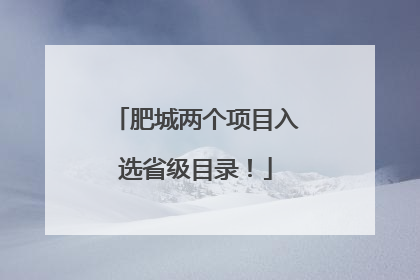肥城两个项目入选省级目录！