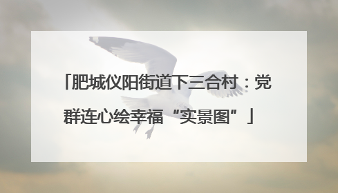 肥城仪阳街道下三合村：党群连心绘幸福“实景图”