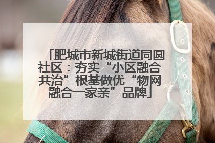 肥城市新城街道同圆社区：夯实“小区融合共治”根基做优“物网融合一家亲”品牌