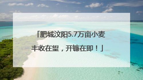 肥城汶阳5.7万亩小麦丰收在望，开镰在即！
