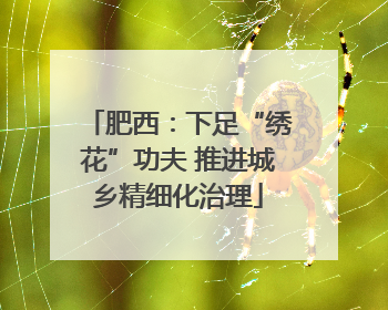 肥西：下足“绣花”功夫 推进城乡精细化治理