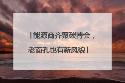 能源商齐聚碳博会，老面孔也有新风貌