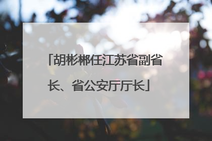 胡彬郴任江苏省副省长、省公安厅厅长