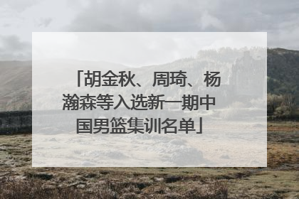 胡金秋、周琦、杨瀚森等入选新一期中国男篮集训名单