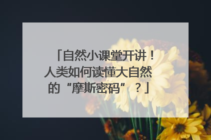 自然小课堂开讲！人类如何读懂大自然的“摩斯密码”？