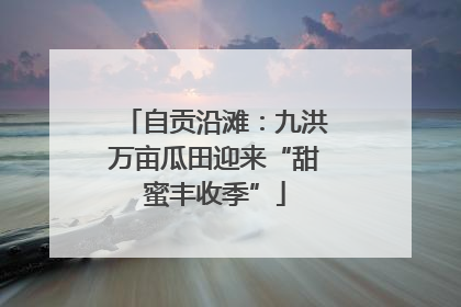 自贡沿滩：九洪万亩瓜田迎来“甜蜜丰收季”