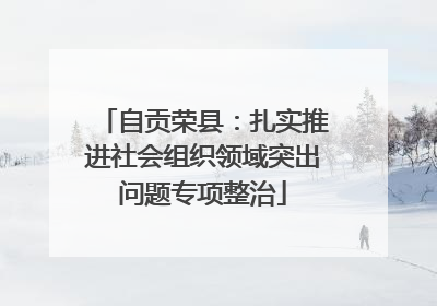 自贡荣县：扎实推进社会组织领域突出问题专项整治