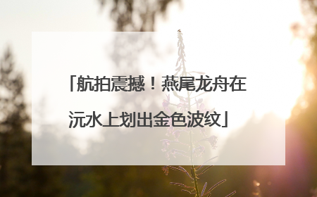 航拍震撼！燕尾龙舟在沅水上划出金色波纹