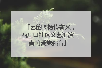艺韵飞扬传薪火，西厂口社区文艺汇演奏响爱党强音