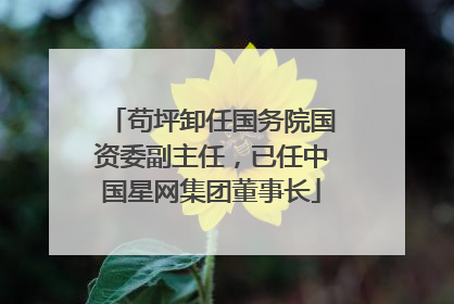 苟坪卸任国务院国资委副主任，已任中国星网集团董事长