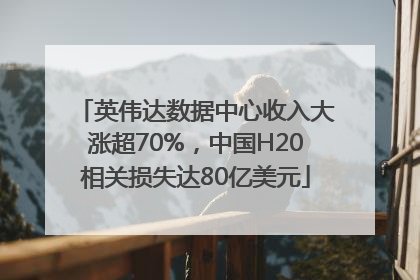 英伟达数据中心收入大涨超70%，中国H20相关损失达80亿美元