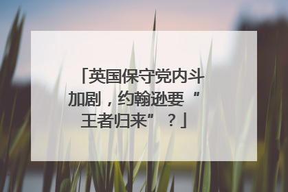 英国保守党内斗加剧，约翰逊要“王者归来”？