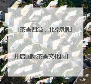 茶香四溢，北京朝阳开启国际茶香文化周