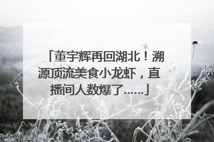 董宇辉再回湖北！溯源顶流美食小龙虾，直播间人数爆了……