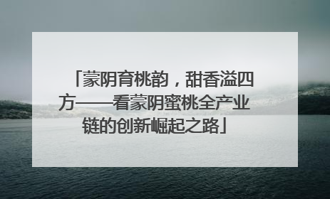 蒙阴育桃韵，甜香溢四方——看蒙阴蜜桃全产业链的创新崛起之路