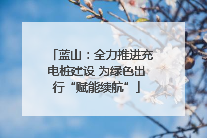蓝山:全力推进充电桩建设 为绿色出行“赋能续航”