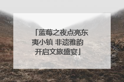 蓝莓之夜点亮东夷小镇 非遗雅韵开启文旅盛宴