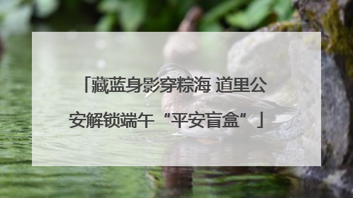 藏蓝身影穿粽海 道里公安解锁端午“平安盲盒”