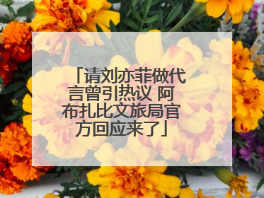 请刘亦菲做代言曾引热议 阿布扎比文旅局官方回应来了