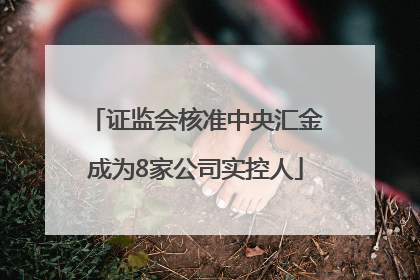 证监会核准中央汇金成为8家公司实控人