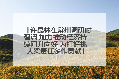 许昆林在常州调研时强调 加力推动经济持续回升向好 为扛好挑大梁责任多作贡献
