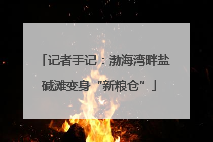 记者手记：渤海湾畔盐碱滩变身“新粮仓”