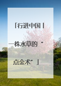 行进中国丨一株水草的“点金术”