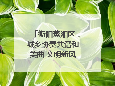 衡阳蒸湘区：城乡协奏共谱和美曲 文明新风劲拂蒸湘地