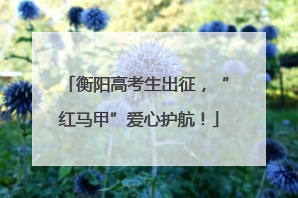 衡阳高考生出征，“红马甲”爱心护航！