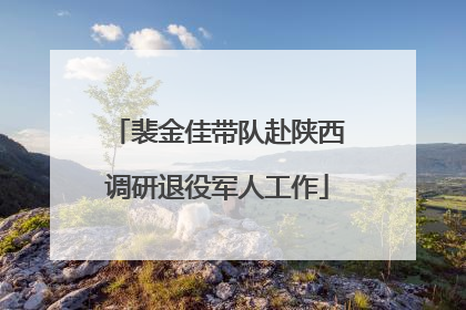 裴金佳带队赴陕西调研退役军人工作