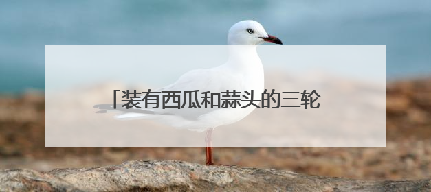 装有西瓜和蒜头的三轮电动车被盗，案子破了