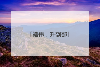 褚伟，升副部