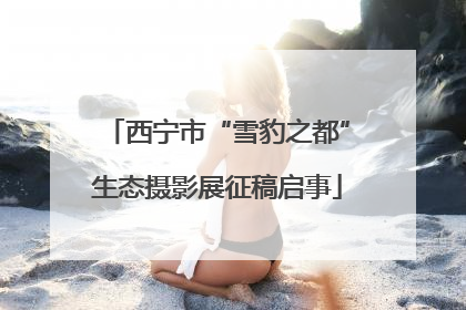 西宁市“雪豹之都”生态摄影展征稿启事