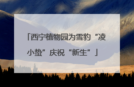 西宁植物园为雪豹“凌小蛰”庆祝“新生”