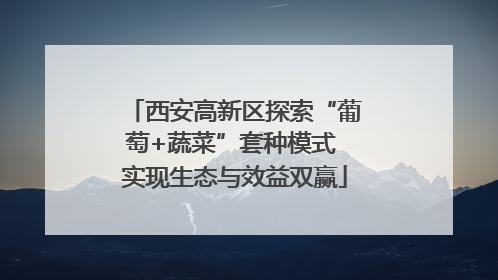西安高新区探索“葡萄+蔬菜”套种模式 实现生态与效益双赢