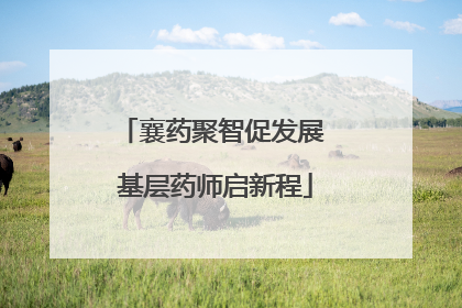 襄药聚智促发展 基层药师启新程