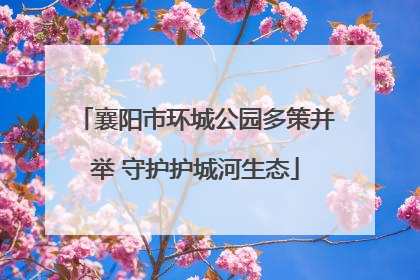 襄阳市环城公园多策并举 守护护城河生态