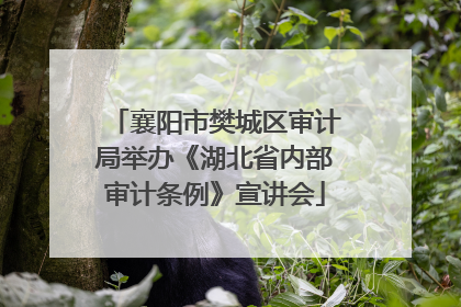 襄阳市樊城区审计局举办《湖北省内部审计条例》宣讲会